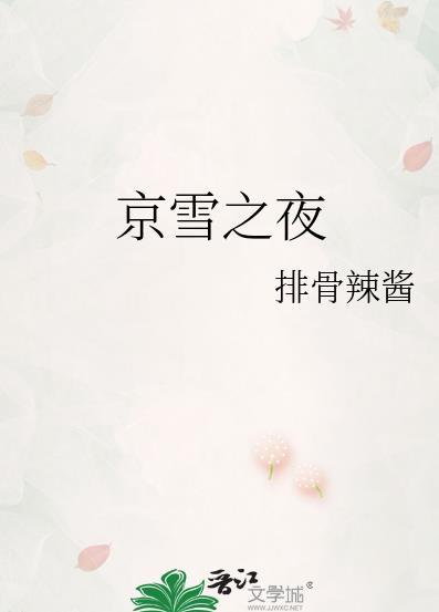 京雪之夜排骨辣酱讲的什么