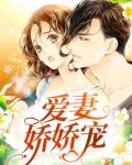 爱妻娇娇宠贺景琛免费阅读