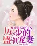 暖婚100分厉少宠不停