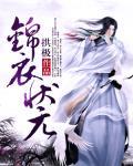 锦衣将军
