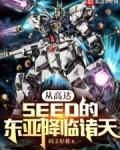 从高达seed的东亚降临诸天TXT