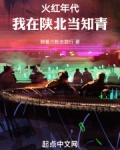 火红年代我在陕北当知青大结局