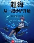 赶海的人们会在沙滩上做什么呢