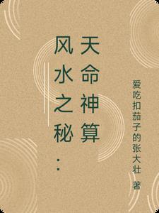 天命风水师在线