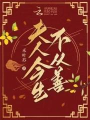 夫人今生不从善的下一句