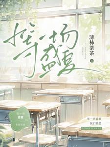 等一场盛夏在线阅读全文