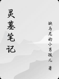 盗墓笔记灵羽外传
