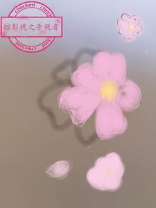 综影视旁观与参