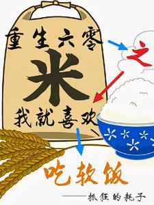 重生之六零重组家庭34