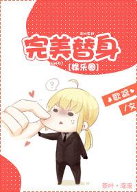完美替身讲什么