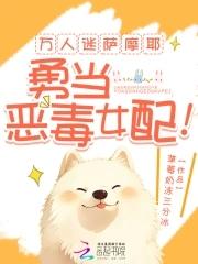 萌宠萨摩耶