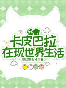 皮卡巴卡动画片