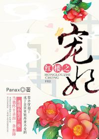 红楼宠妃