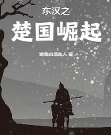 楚汉之争之后的历史