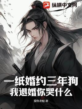 一纸婚约abotxt