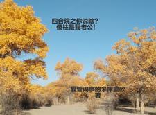 四合院傻柱是我哥飞卢
