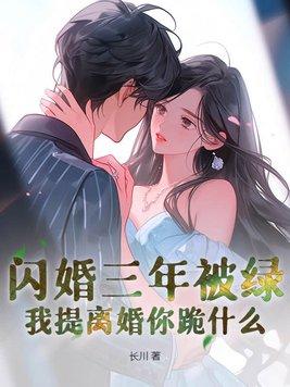 闪婚后我三年抱俩