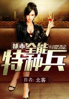 都市全能特种兵苏枫