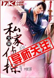 大宋民间奇案