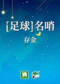 足球世界顶级名哨