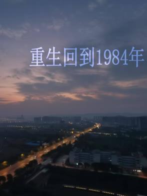 重生回到84年的
