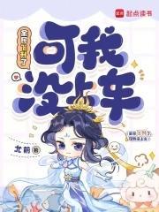 全民飞机技能图标解答