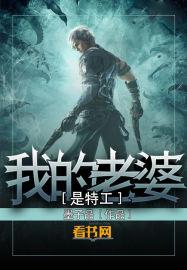 我老婆是特工大人