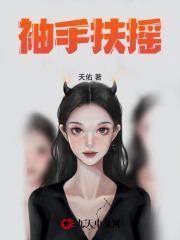 袖手扶摇作者天佑