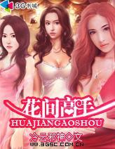 天才高手在都市几个女主