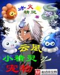 宠物小精灵之云凨txt