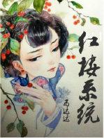 红楼系统人生