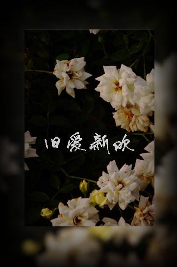 旧爱新欢相吾笔趣阁最新章节列表