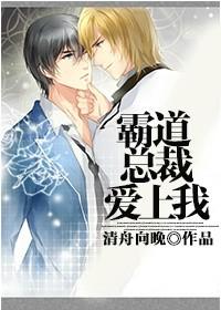 霸道总裁爱上我全集