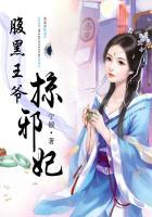 腹黑王爷邪宠入骨
