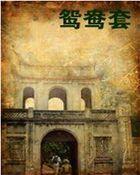 鸳鸯套是什么