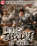 重生之百战将军书评