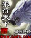 狼行天下插线板