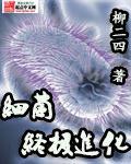 细菌转化的五个步骤