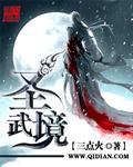 圣武境小成圣王