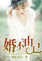 婚不由己by小鸟大虫免费读