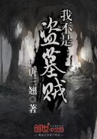 我是个盗墓贼