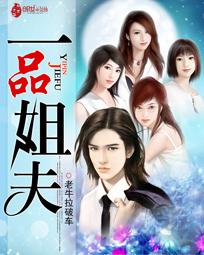 一品贵夫人