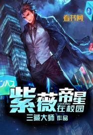 紫微斗数 帝星