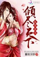 乱世倾君心免费全文
