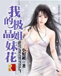 我的极品姐妹花龙翔