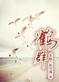 鹤壁是哪个省的城市