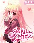 网王之伪兄妹