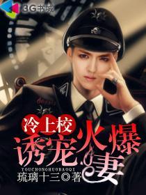 冷情总裁的上校妻