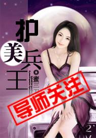 叶舟燕若惜绝世护美兵王