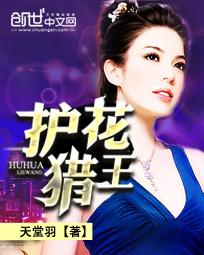护花猎王无弹窗全文阅读